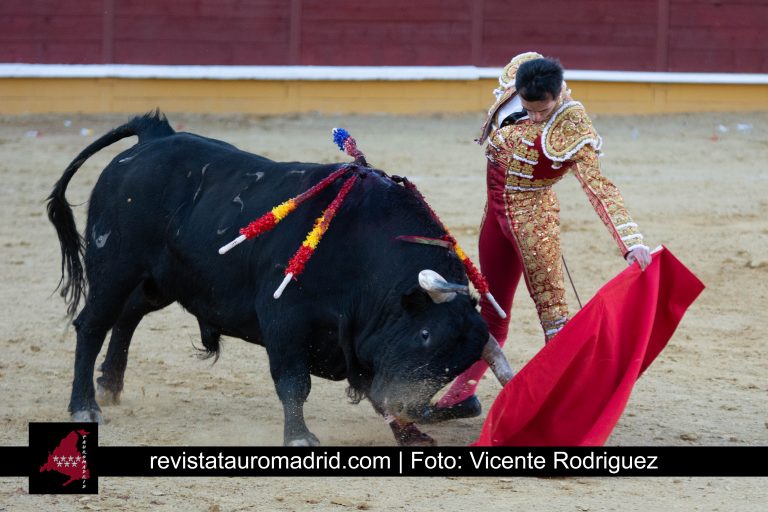 El Álamo Vicente Rodriguez