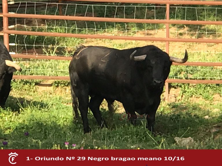 Couto de Fornilhos Colmenar de Oreja mayo 2022