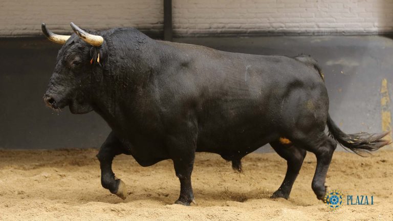 Fermin-Bohorquez-14-05-2022