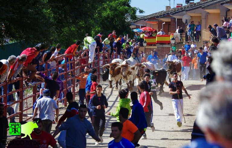 encierros-elmolar