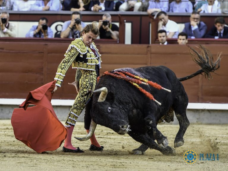 Javier Cortés 10 de mayo 2022