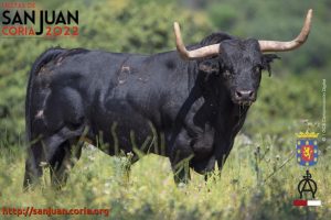 toro02_22