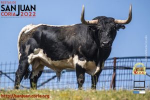 toro05_22
