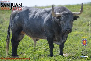 toro06_22