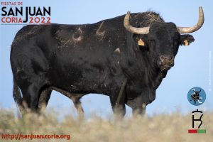 toro07_22