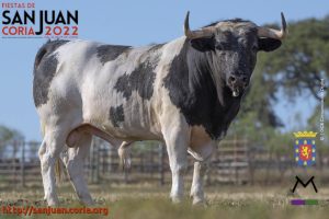 toro08_22
