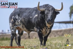 toro09_22