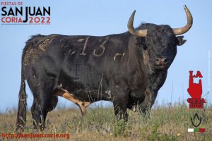 toro12_22