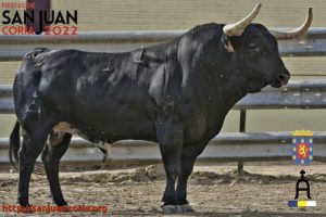 toros01b_22-1