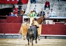 Normas de la corrida-concurso de ganaderías en Las Ventas