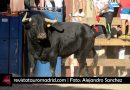 Un gran toro de Arucci para una jornada interesante en Loeches