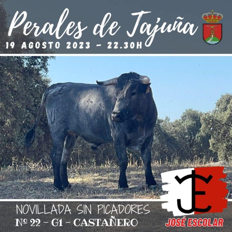 novillada-jose-escolar-perales-de-tajuna-sabado-2023-03