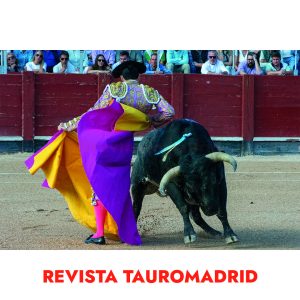 calendario de pared 06