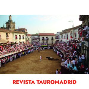 calendario de pared 10