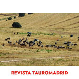 calendario de pared 12