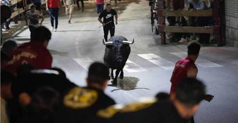 portada noti encierro por las calles morata de tajuña