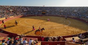 portada noti plaza de toros de móstoles