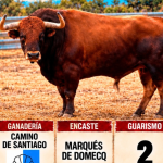 portada noti toro encierro por el campo Torrelaguna sept 2026_20260925_083820_0000